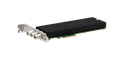 DELTA-12G-elp 2C